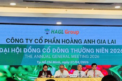 Hoàng Anh Gia Lai (HAG) lãi đậm nghìn tỷ đồng nhờ khoản hoàn nhập chi phí tài chính