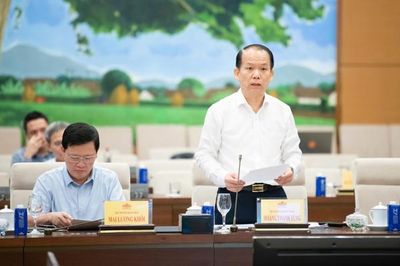Nâng tiền đặt trước trong đấu giá quyền sử dụng đất lên đến 50%