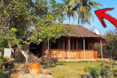 Quan niệm xưa về 5 loại cây cảnh không nên trồng trong nhà và ý nghĩa phía sau