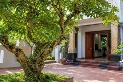 3 vị trí trồng cây sung được cho là mang ý nghĩa tốt lành