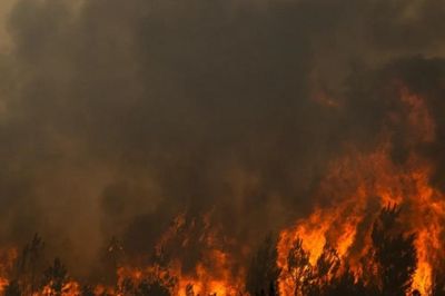 'Đám mây tích lửa' trong cháy rừng ở Pháp và Tây Ban Nha