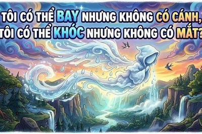Giải mã câu đố 'Bay không cánh, khóc không mắt' khiến nhiều người bó tay