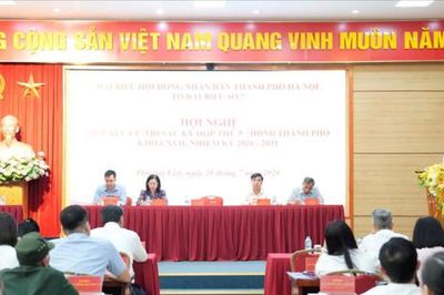 Cử tri kiến nghị giải quyết quyền lợi người dân ảnh hưởng bởi hầm chui Vành đai 2,5