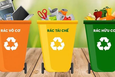 Hướng dẫn phân loại và xử lý rác thải sinh hoạt tại nhà giúp không gian sống xanh - sạch - đẹp