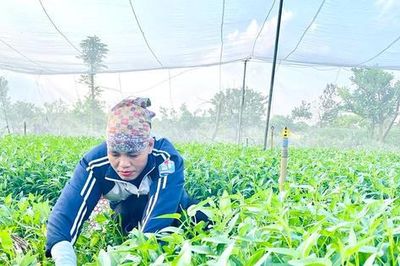 Gần 6 triệu xã viên sẽ được hưởng nhiều chính sách hỗ trợ