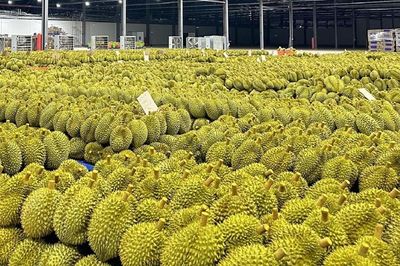 Ngành rau quả lần đầu vượt 1 tỉ USD/tháng, cảnh báo từ việc thu hồi mã số vùng trồng