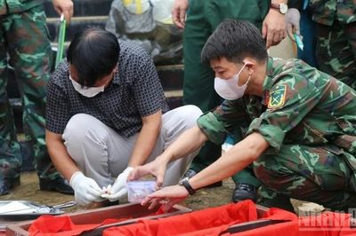 Lào Cai quy tập 7 hài cốt liệt sĩ