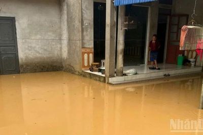 Mưa lớn gây nhiều thiệt hại tại tỉnh Lào Cai
