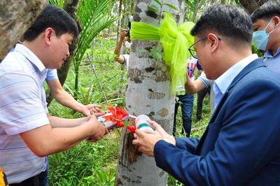 Hàng trăm nhà đầu tư bất an với dự án 'công nghệ trầm hương sinh học' (Kỳ 1: Viễn cảnh trầm hương sinh học không như mong đợi)