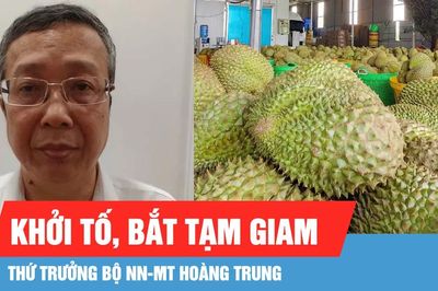 Khởi tố, bắt tạm giam Thứ trưởng Bộ NN-MT Hoàng Trung về tội 'Nhận hối lộ'