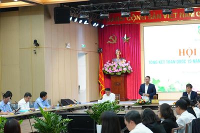 15 năm thi hành Luật Nuôi con nuôi: Vì sao cần một cuộc sửa đổi toàn diện?