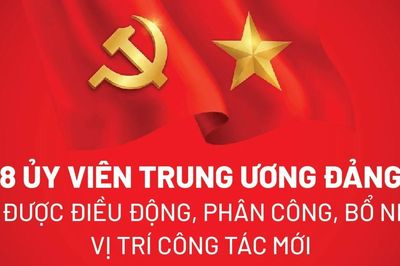 8 Ủy viên Trung ương Đảng vừa được điều động, phân công vị trí công tác mới