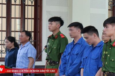 Đầu tư chứng khoán thua lỗ, làm giả giấy tờ ô tô để lừa đảo tiền tỷ