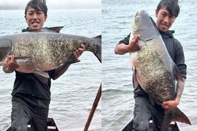 Ngư dân 30 tuổi có duyên bắt cá mè 'khủng' ở Biển Hồ