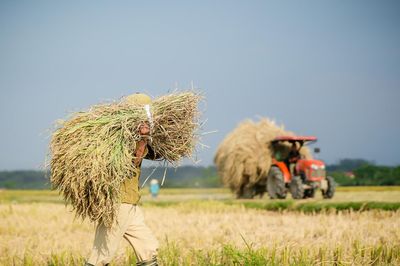 Vinafood 1 nhận tiền xuất khẩu qua 9 ngân hàng, kết quả thanh tra ra sao?