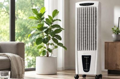 Quạt hơi nước có gây ẩm mốc không? Giải đáp chi tiết và cách phòng tránh