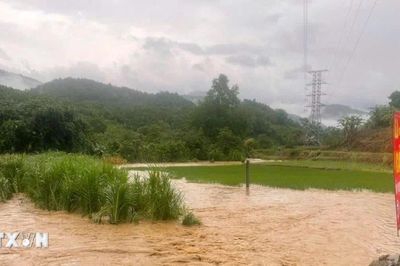 Lào Cai: Mưa lớn gây nhiều thiệt hại cho sản xuất ở Bản Xèo