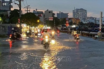 Thời tiết ngày 29/7: Bắc Bộ giảm mưa, Nam Bộ và cao nguyên Trung Bộ mưa lớn