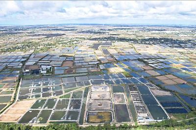 Thực hiện Nghị quyết Hội nghị Trung ương 3: Hành động thực chất để nâng cao đời sống nhân dân, đưa đất nước phát triển