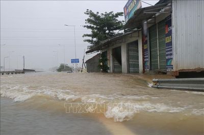 Quảng Ngãi: Triển khai các biện pháp ứng phó mưa lớn, thời tiết cực đoan