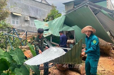 Quy chế hoạt động của Ban Chỉ đạo Phòng thủ dân sự quốc gia