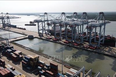 Nghị quyết 20-NQ/TW về xây dựng và phát triển Việt Nam trở thành quốc gia biển mạnh