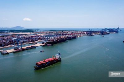 Phát triển mạnh doanh nghiệp biển, nhất là các tập đoàn, tổng công ty quy mô lớn