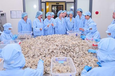 Trung ương Hội Liên hiệp Phụ nữ Việt Nam làm việc tại Yến sào Khánh Hòa
