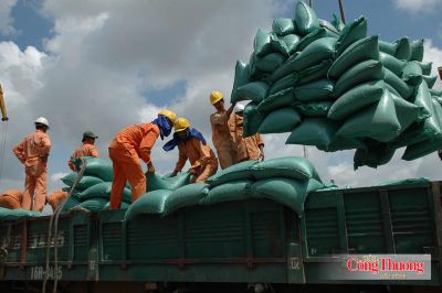 Bộ Công Thương tạo động lực mới thúc đẩy xuất khẩu gạo bền vững, hiệu quả