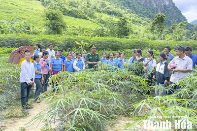 Đánh thức tiềm năng đất đai bằng bản đồ nông hóa
