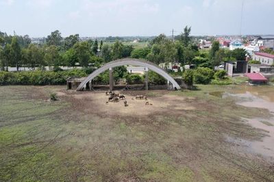 Hải Phòng bãi bỏ nghị quyết 'trảm' dự án treo