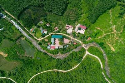 Bắc Ninh giao 58 ha rừng tự nhiên tại xã Đại Sơn cho cộng đồng dân cư quản lý, bảo vệ, phát triển