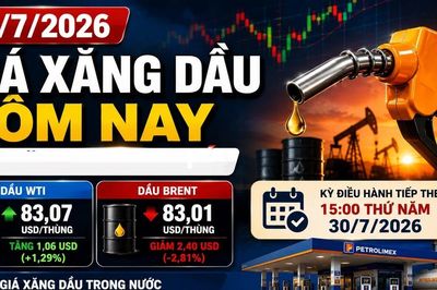 Giá xăng dầu hôm nay 29/7/2026: WTI tăng, Brent tiếp tục giảm