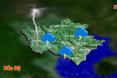 Dự báo thời tiết ngày 29/7