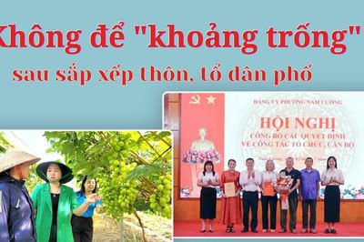 Không để 'khoảng trống' sau sắp xếp thôn, tổ dân phố
