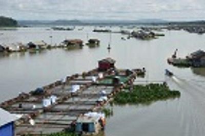 Cảnh báo lũ trên sông Đồng Nai ngày 29/07/2026: Mực nước trạm Tà Lài dao động ở mức báo động 1