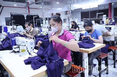 Giải quyết việc làm, tạo sinh kế bền vững cho người lao động