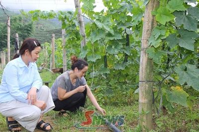 Thực hiện tốt ủy thác vốn vay tín dụng chính sách