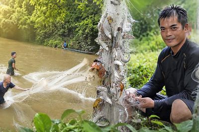 Mùa cá theo nước về sông