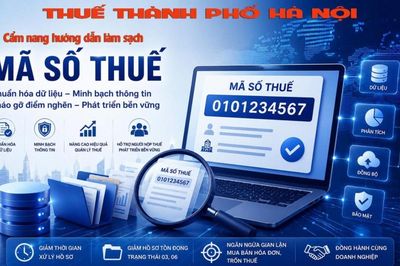 Ra mắt 'Cẩm nang hướng dẫn người nộp thuế làm sạch mã số thuế'
