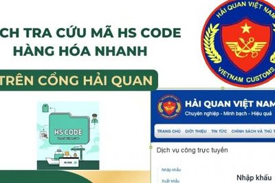 Hải quan cập nhật 14 ý kiến phân loại mới của WCO về mã HS