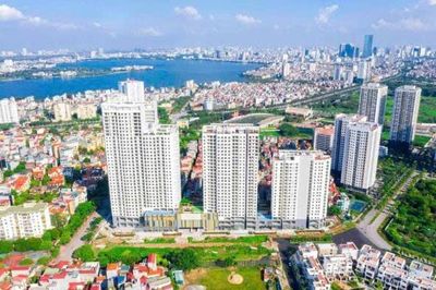 Tp.HCM yêu cầu xử lý nghiêm doanh nghiệp nhà nước sử dụng đất sai mục đích