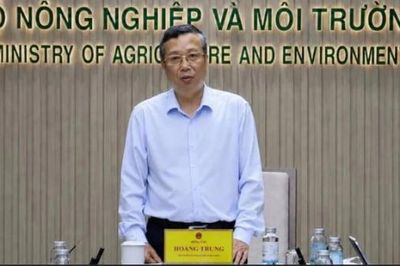 Thứ trưởng Hoàng Trung bị bắt vì đại án xuất khẩu sầu riêng