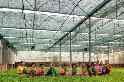 Số hóa dữ liệu giảm nghèo