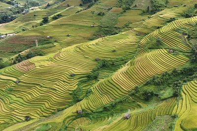 Lào Cai: Tiến hành kiểm tra, rà soát toàn diện các cơ sở lưu trú, homestay