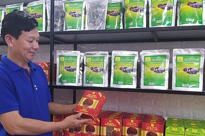 'Ươm' tài sản trí tuệ từ phòng nuôi nấm của HTX ở Bố Trạch