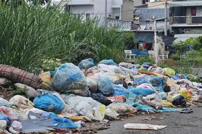 Tình trạng vứt rác bừa bãi vẫn là 'căn bệnh trầm kha'