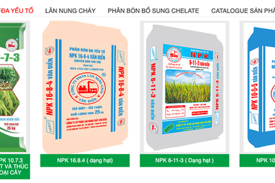Phân lân Nung chảy Văn Điển (VAF) chi gần 38 tỷ đồng trả cổ tức tiền mặt, hoàn thành gần 62% kế hoạch lợi nhuận năm
