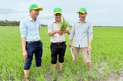 Đổi mới tư duy trên vùng đất phèn để tăng hiệu quả trồng lúa
