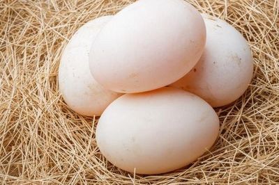 5 người không nên ăn trứng vịt